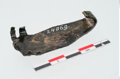 Foto von Bronzegürtelhaken (NHMW-PRAE-024869)